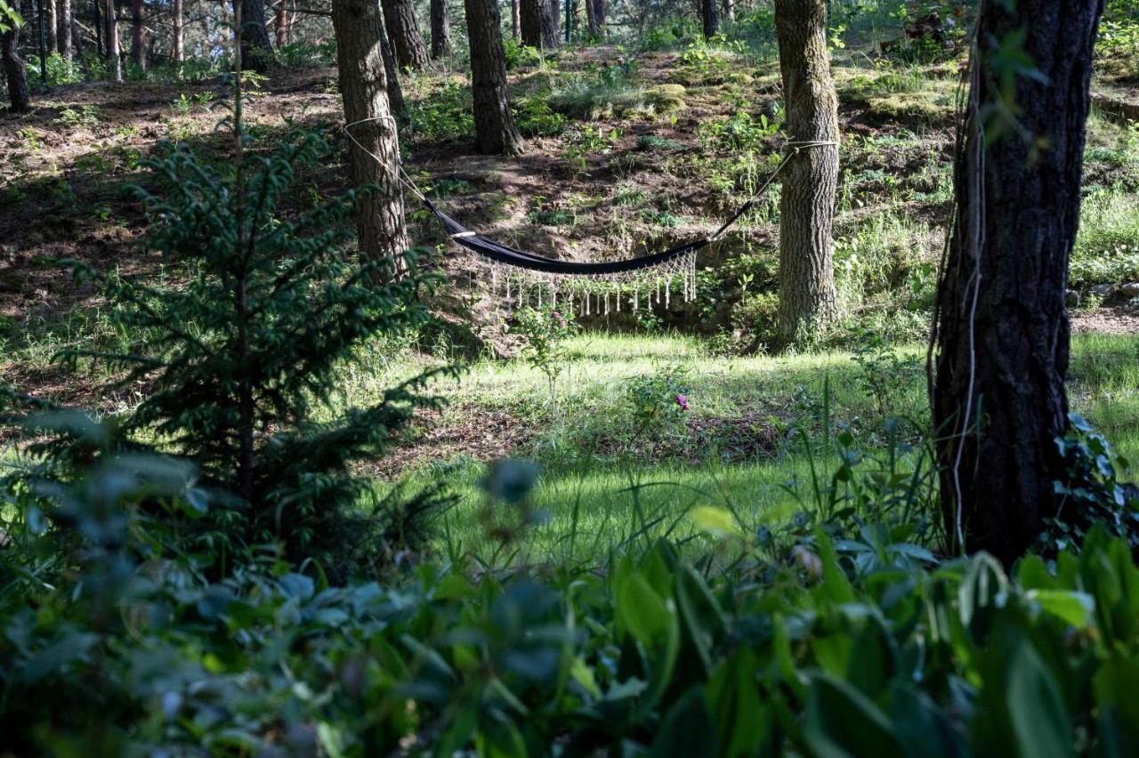 Uroczy Maly Domek Na Lesnej Dzialce - Losiowka Losie Exterior photo